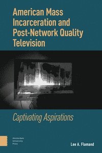 bokomslag American Mass Incarceration and Post-Network Quality Television