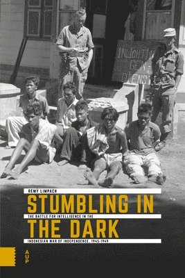 Rémy Limpach, Remy Limpach - Stumbling in the Dark, Häftad