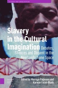 bokomslag Slavery in the Cultural Imagination