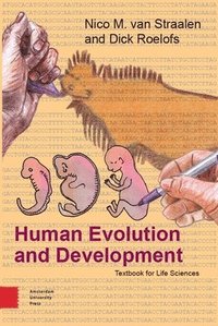 bokomslag Human Evolution and Development