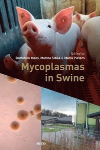 bokomslag Mycoplasmas in Swine