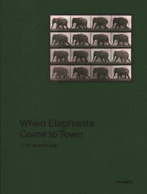 When Elephants Come to Town 1
