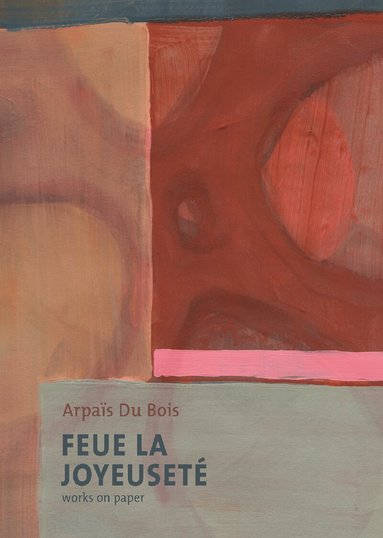 Damien Sausset, Philippe Van Cauteren - Feue La Joyeuseté/Works on Paper, Inbunden
