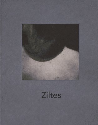 Bernadette Messiaen - Ziltes, Inbunden