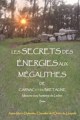 bokomslag LES SECRETS DES ÉNERGIES AUX MÉGALITHES DE CARNAC ET EN BRETAGNE - Mesurer avec l'antenne de Lecher - Suite