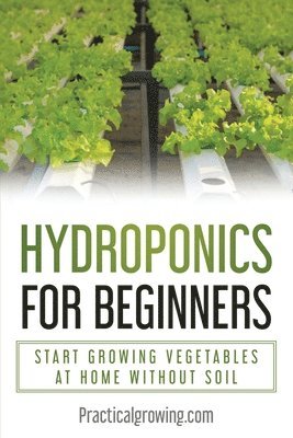 bokomslag Hydroponics for Beginners