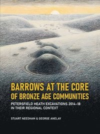 bokomslag Barrows at the Core of Bronze Age Communities