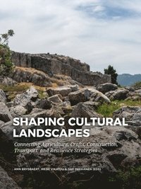 bokomslag Shaping Cultural Landscapes