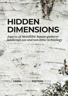 bokomslag Hidden dimensions