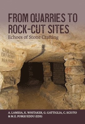 From Quarries to Rock-cut Sites 1