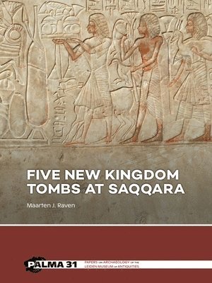 Five New Kingdom Tombs at Saqqara 1