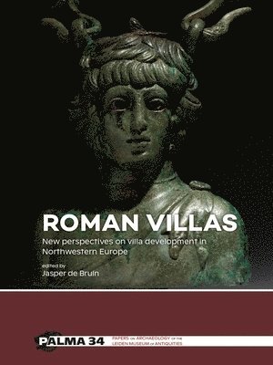 bokomslag Roman Villas: New Perspectives on Villa Development in Northwestern Europe