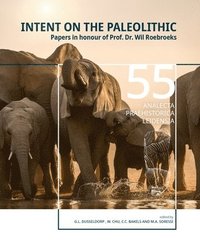 bokomslag Intent on the Paleolithic