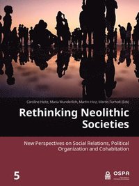 bokomslag Rethinking Neolithic Societies