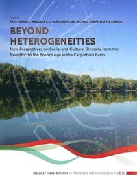 bokomslag Beyond Heterogeneities: New Perspectives on Social and Cultural Diversity from the Neolithic to the Bronze Age in the Carpathian Basin