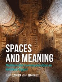 bokomslag Spaces and Meaning