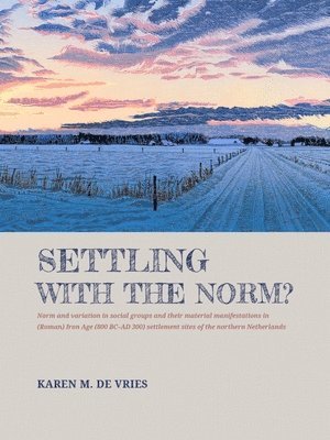 Karen M de Vries - Settling with the norm?, Inbunden