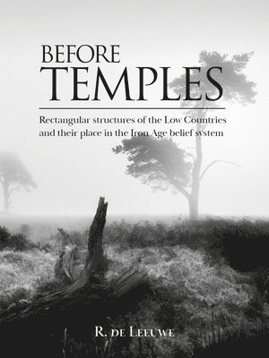 Before Temples 1