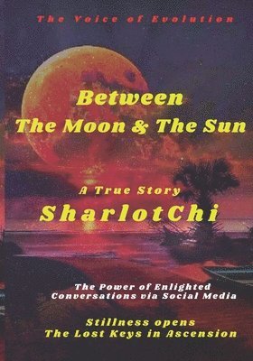bokomslag Between the Moon & the Sun