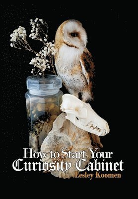 bokomslag How to Start Your Curiosity Cabinet