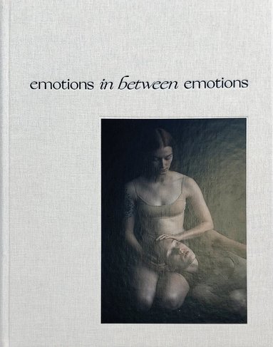 Steve Dean Mendes - Emotions In Between Emotions, Inbunden