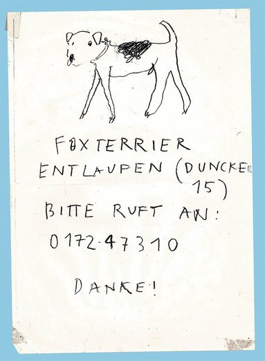 Maarten Inghels - Please Look in the Basement, Häftad