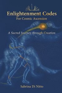 bokomslag Enlightenment Codes for Cosmic Ascension