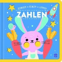 bokomslag Schauen, Fühlen, Lernen - Zahlen