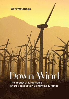 Bert Weteringe - Down Wind, Häftad