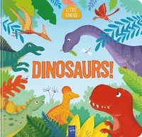 bokomslag Dinosaurs