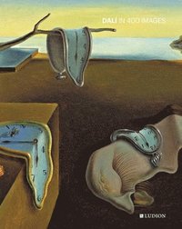 bokomslag Dalí in 400 images