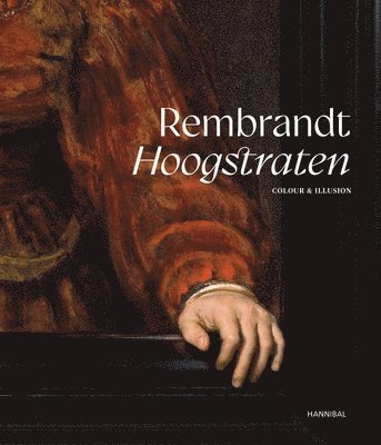 bokomslag Rembrandt-Hoogstraten