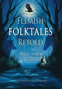 bokomslag Flemish Folktales Retold