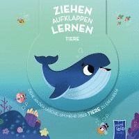 Ziehen - Aufklappen - Lernen: Tiere, Häftad