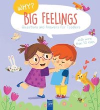 bokomslag Big Feelings (Why? Questions And Answers For Toddlers)