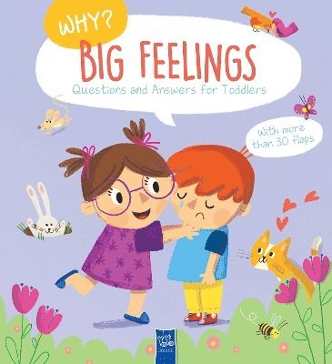 bokomslag Big Feelings (Why? Questions And Answers For Toddlers)