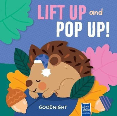 Goodnight (Lift Up and Pop Up), Kartonnage