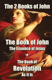 bokomslag The 2 Books of John