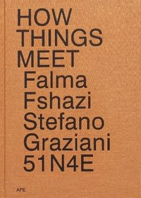bokomslag How Things Meet 51N4E Stefano Graziani Falma Fshazi