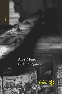 bokomslag Asia Menor