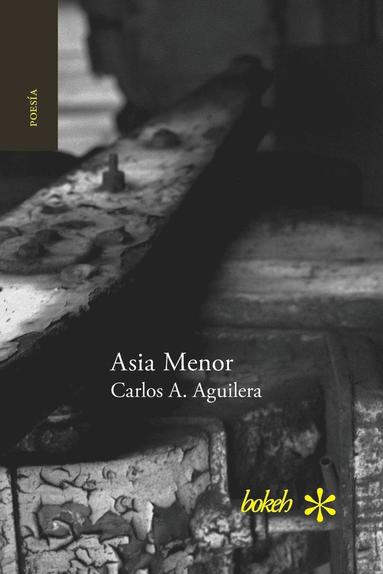 bokomslag Asia Menor