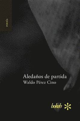 bokomslag Aledaños de partida