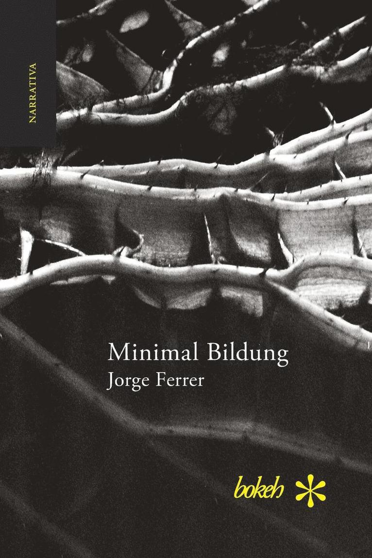 Jorge Ferrer - Minimal Bildung. Veintinueve escenas para una novela sobre la inercia y el olvido, Häftad