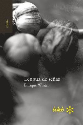 bokomslag Lengua de señas