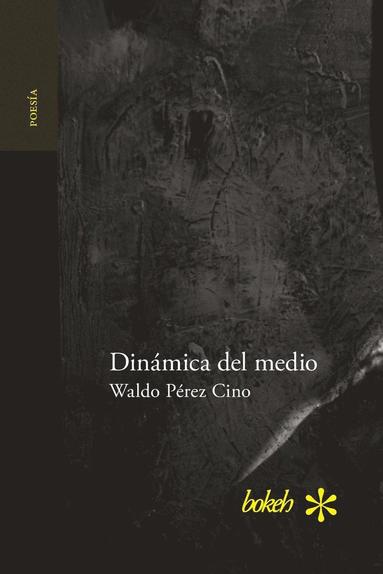 bokomslag Dinámica del medio