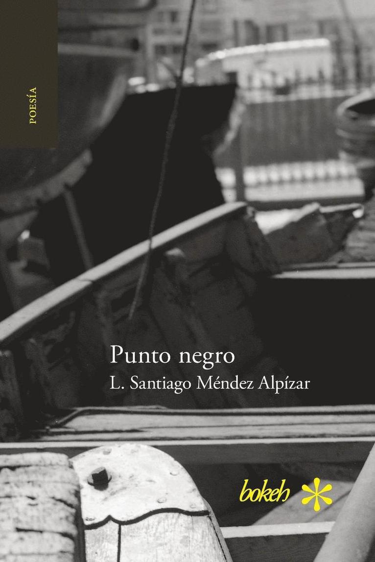 L Santiago Méndez Alpízar - Punto negro, Häftad