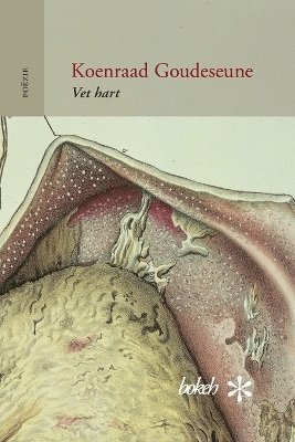 bokomslag Vet hart