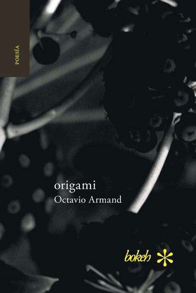 Octavio Armand - origami, Häftad
