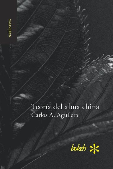 bokomslag Teoría del alma china