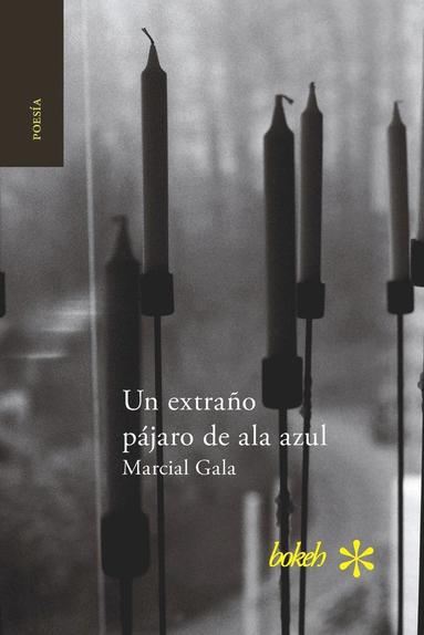 Marcial Gala - extraño pájaro de ala azul, Häftad